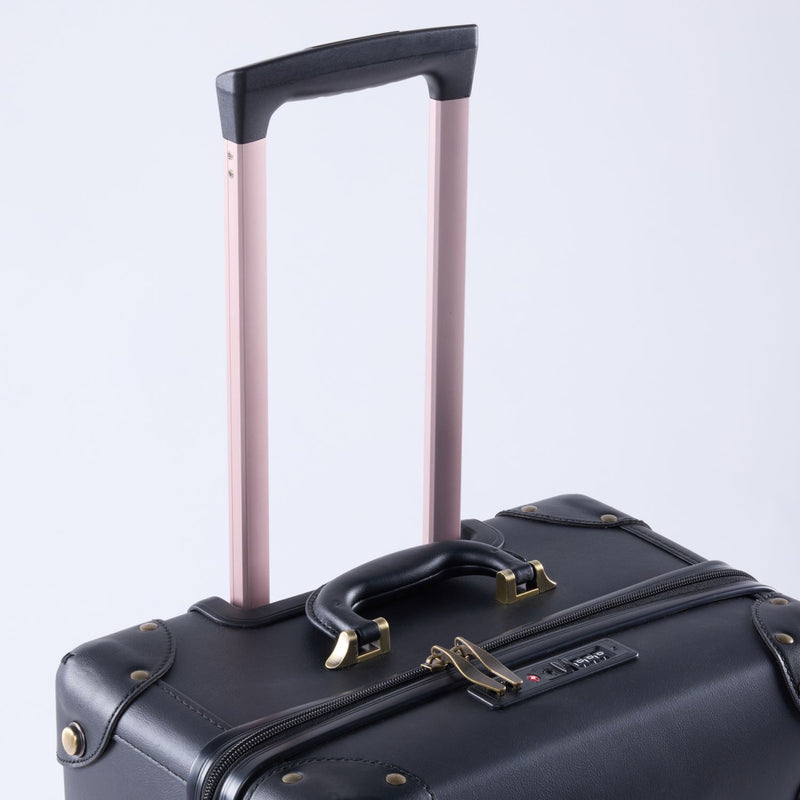 Black Ebony 24-inch Bag