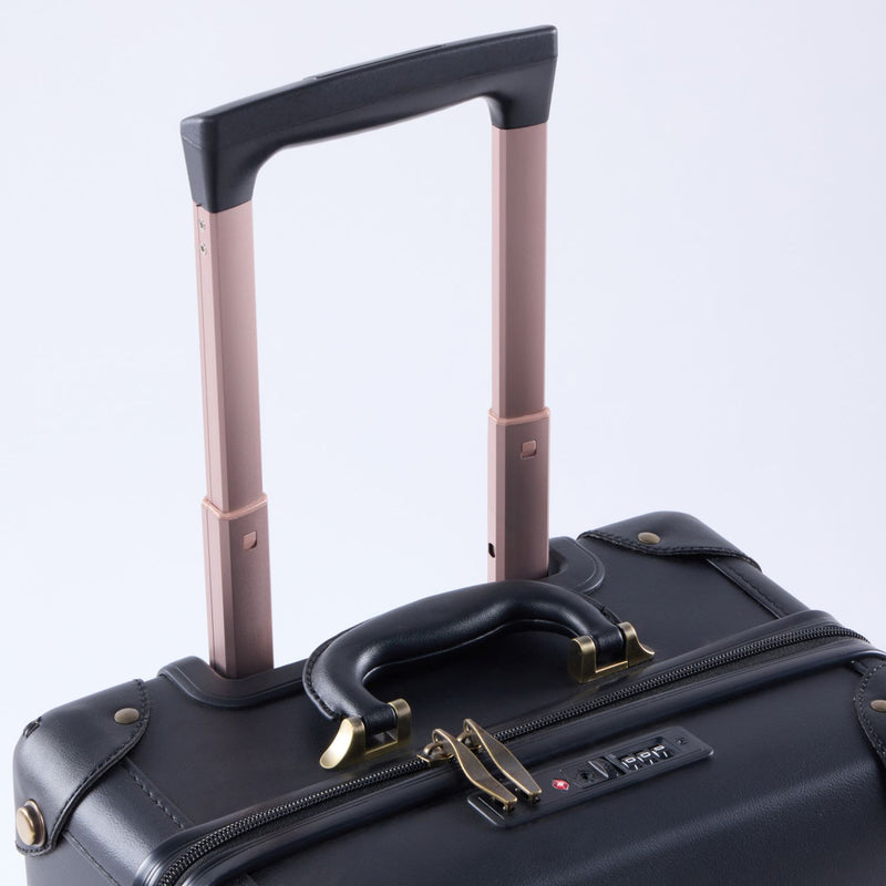 Black Ebony 20-inch Bag